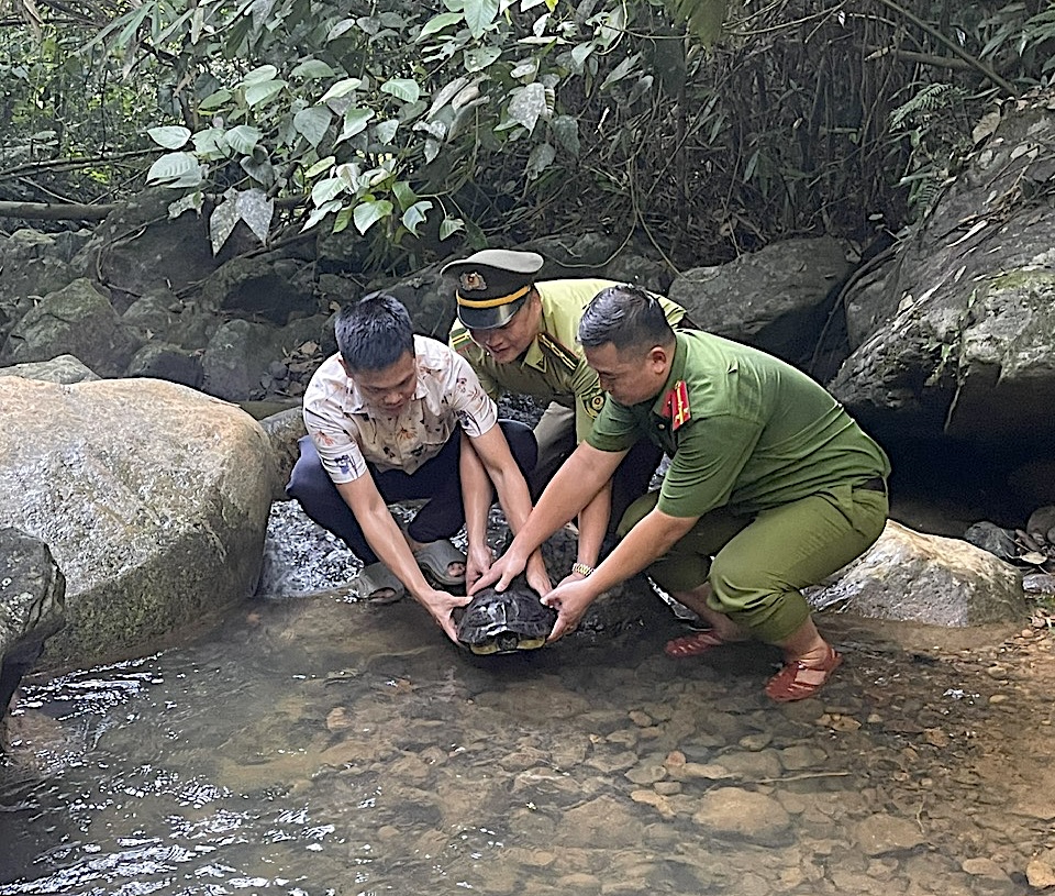 Tin nổi bật